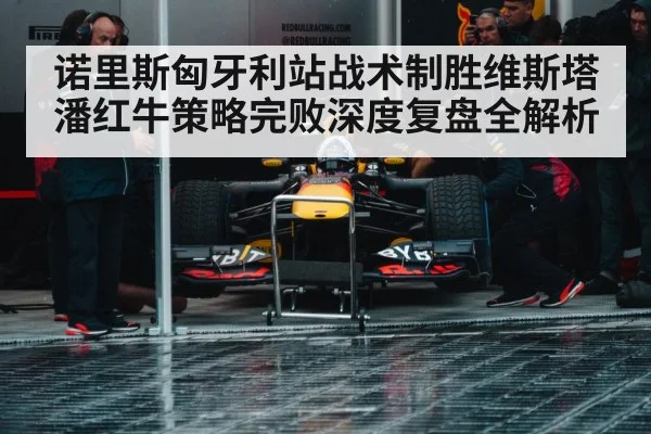 诺里斯匈牙利站战术制胜维斯塔潘红牛策略完败深度复盘全解析